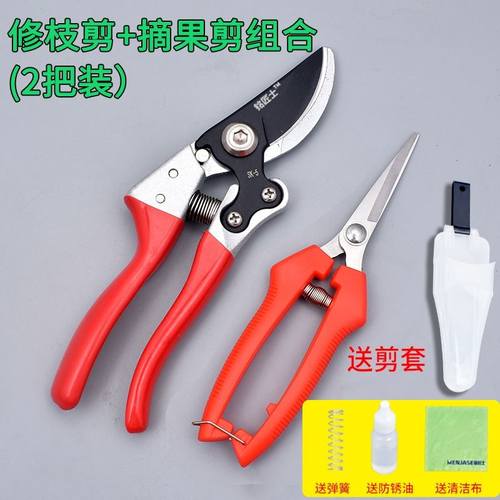 德国精工果树剪枝剪刀树粗枝花草修枝剪家用园艺专用省力花剪日本