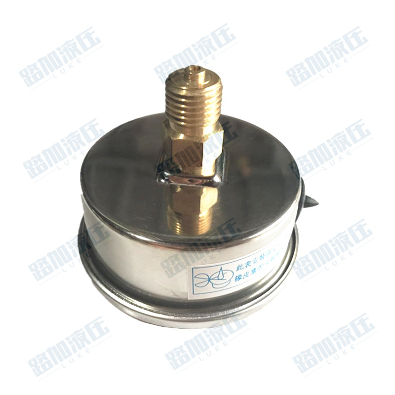 YN100Z耐震压力表水压表0-1.6mpa不锈钢抗震液压油压轴向YN60Z