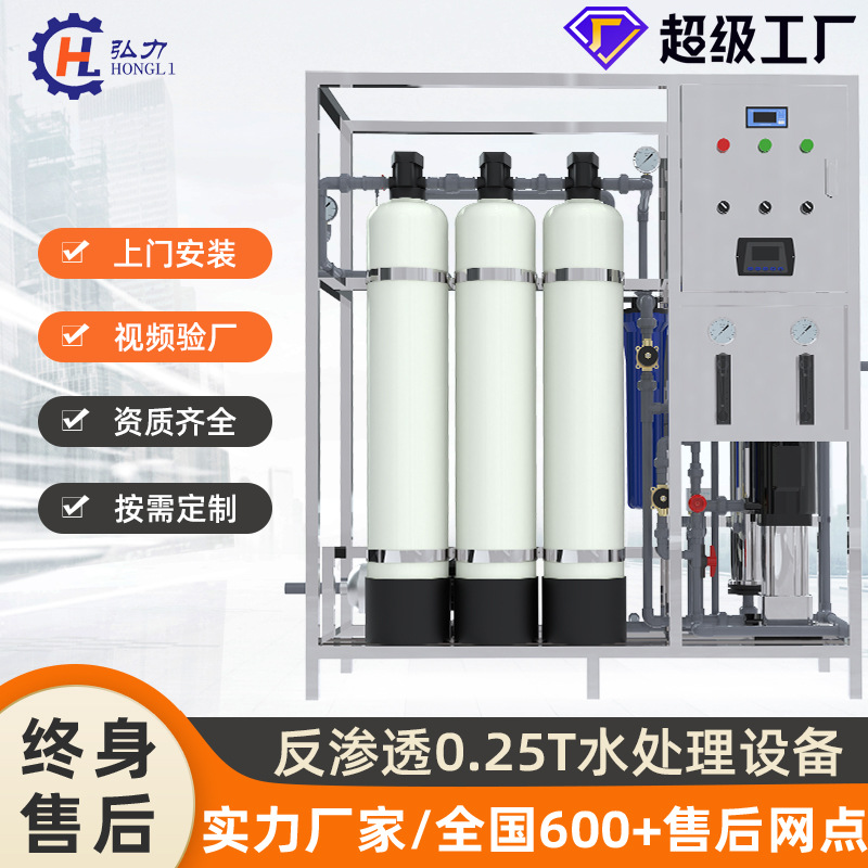 弘力 小型250KG工业反渗透水处理设备 商用工业处理废水净水器