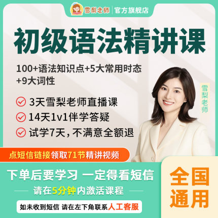 【7天内可退换】雪梨老师初级英语语法视频课程中小学英语网课