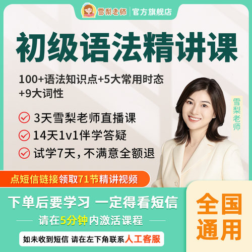 【7天内可退换】雪梨老师初级英语语法视频课程中小学英语网课