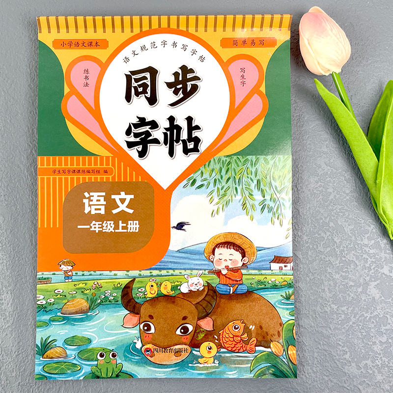 1-6年级同步练字帖人教版每日一练 小学生专用一二三四五六年级练字帖上册语文生字同步描红练习写字硬笔书法练字本贴