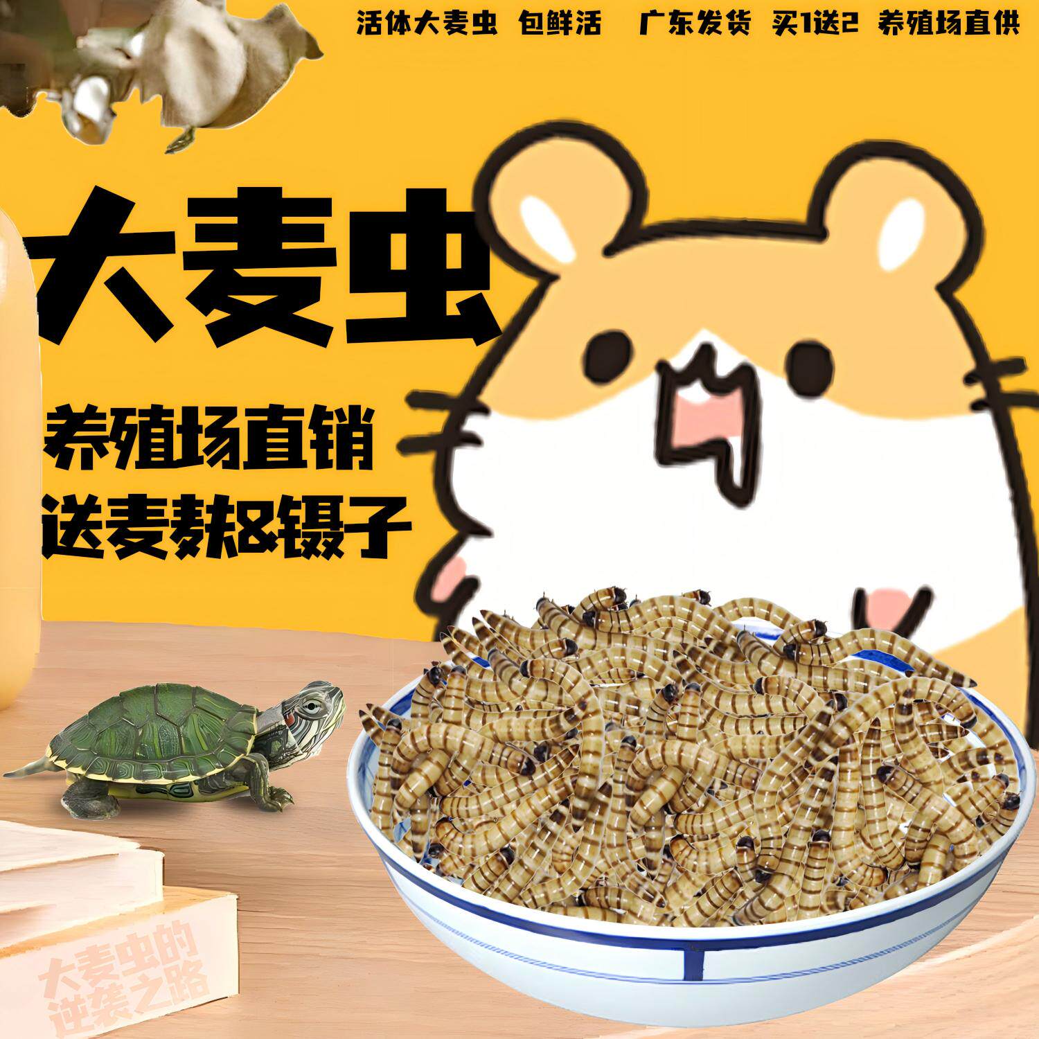 鲜活食画眉鸟大号大麦虫金龙鱼虫子活虫面包虫鱼食活体黄粉虫八哥