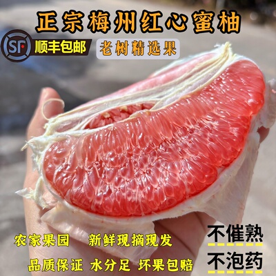 正宗梅州红心蜜柚当季新鲜水果