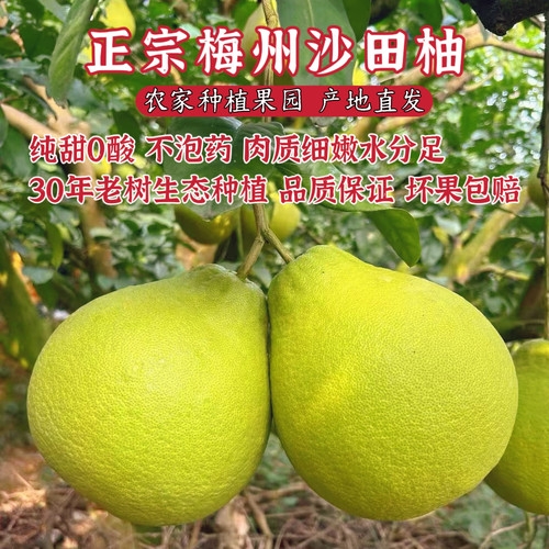 10斤广东正宗梅州纯甜沙田柚白心金柚当季新鲜孕妇甜水果自家果园