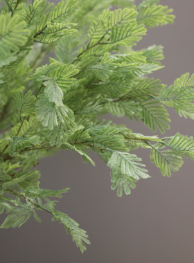 仿真新款六叉含羞草灰绿色森系蕨类假花雾松装饰花天门冬假草