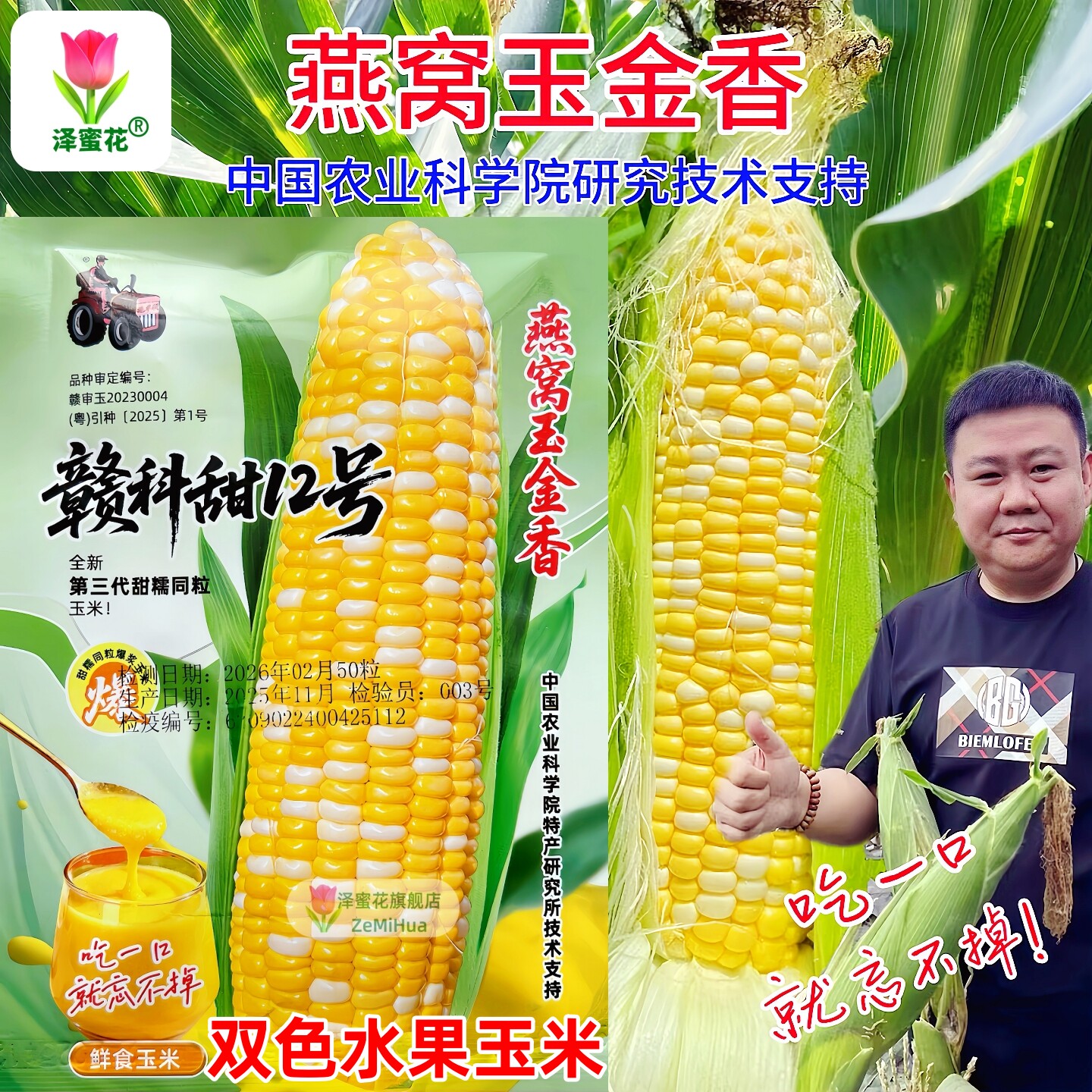 正品赣科甜12号燕窝玉金香双色水果鲜食甜玉米种子第三代甜糯同粒