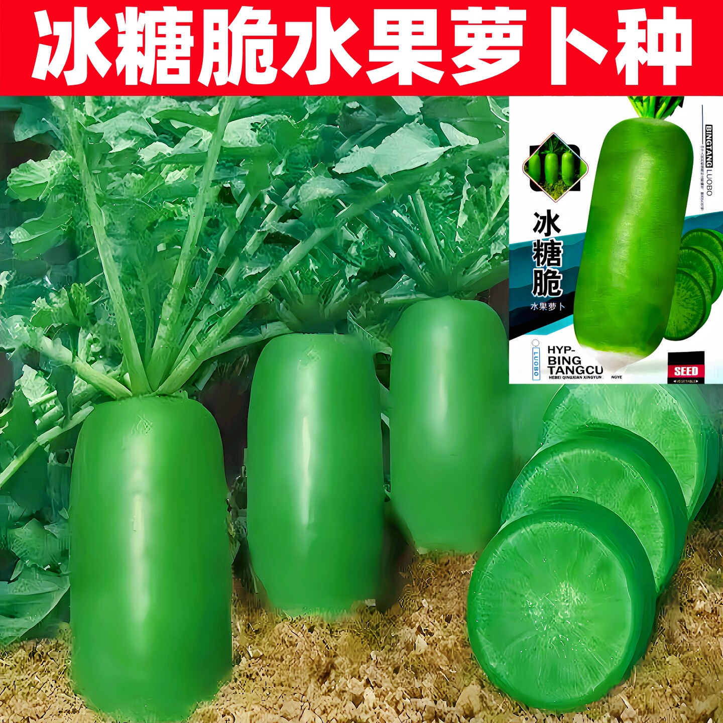 冰糖甜脆水果萝卜种子正品原包装图片