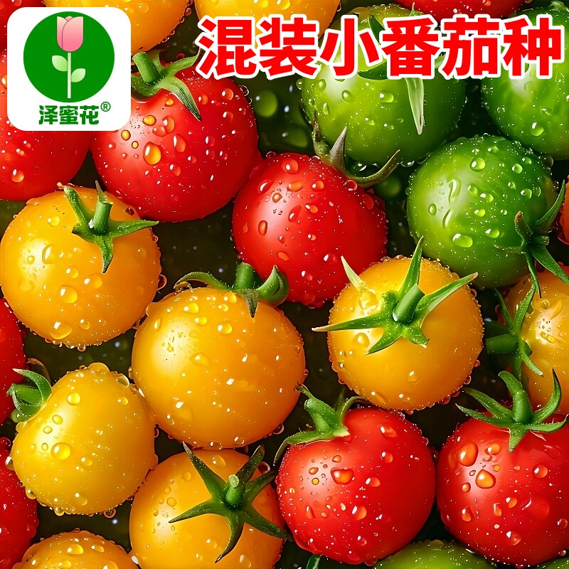 混装小番茄种子大全四季高产超甜西红柿种籽阳台盆栽水果蔬菜种孑