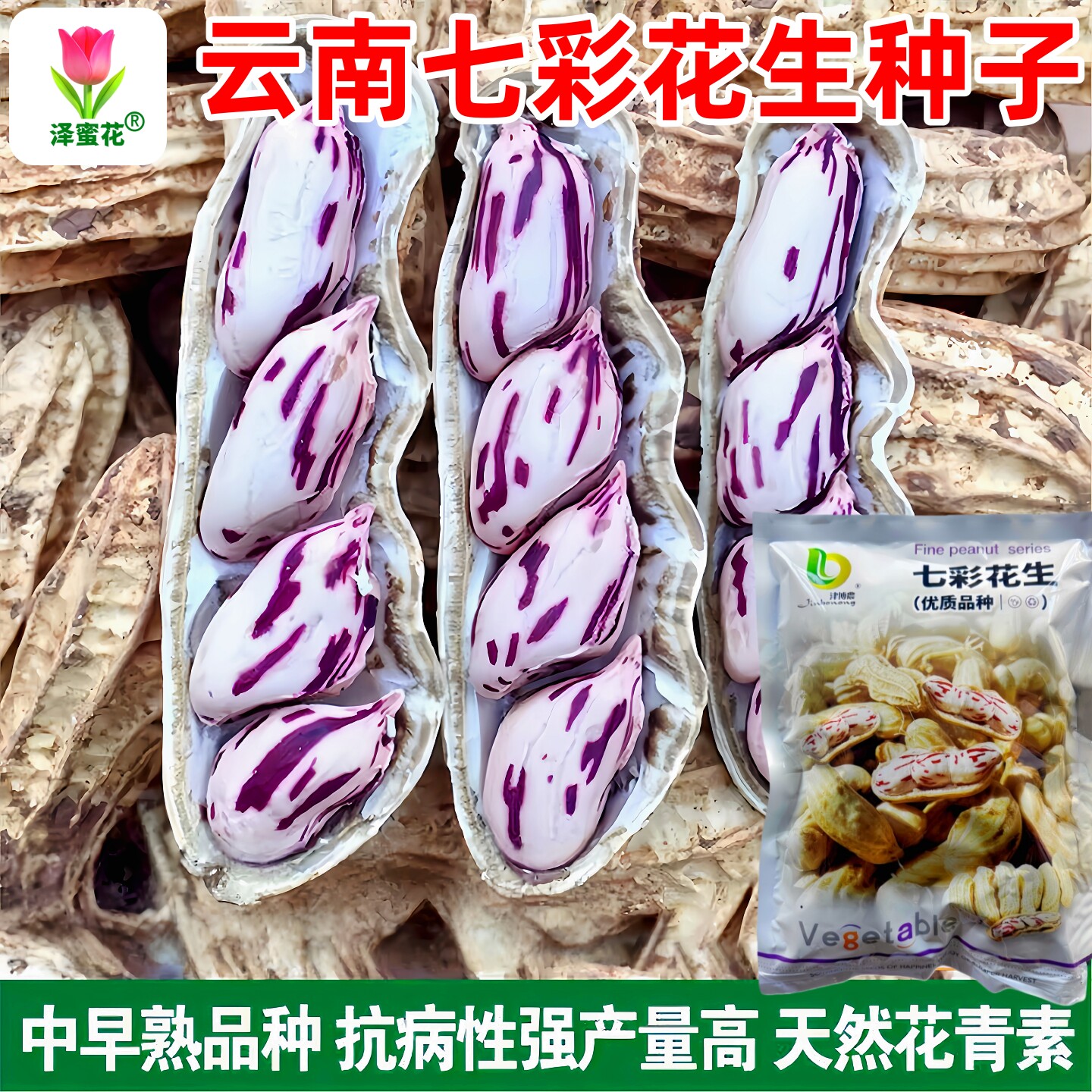 正品原包装正宗云南七彩花生种子图片