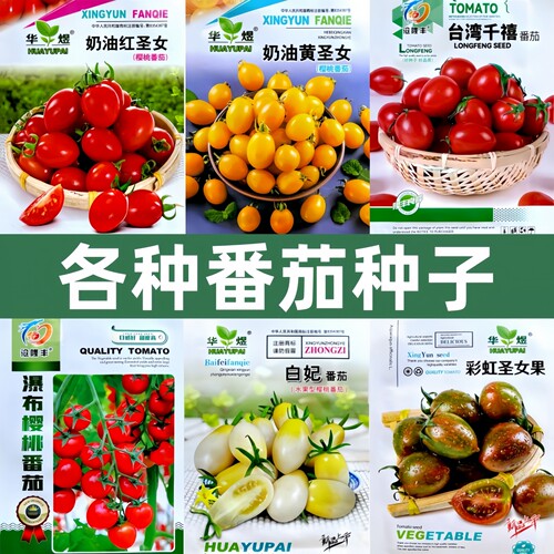 各种番茄西红柿种子集合原厂包装