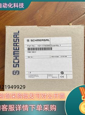现货施迈赛德国SCHMERSAL FWS1205 C 安全继电器