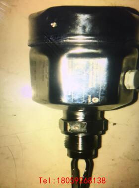 【非标价】E+H液位传感器，FTL50H-AYY9AD2G6C，有8个