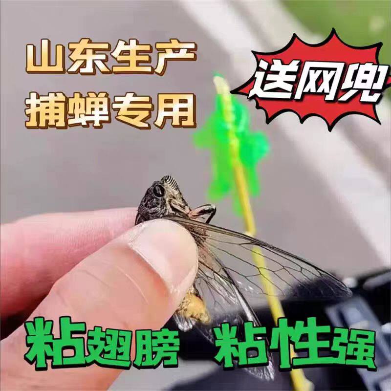 粘知了捕蝉粘手掌圆球玩具