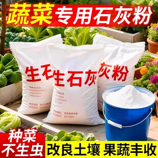 生石灰粉10斤干燥杀菌消毒除湿防潮防霉吸水净种菜杀虫驱除臭刷树