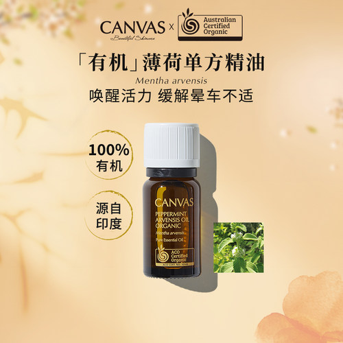 薄荷香薰油Canvas/卡芬诗