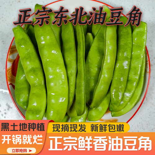东北紫花油豆角现摘新鲜蔬菜正宗一点红农家自种开锅就烂鲜香正宗