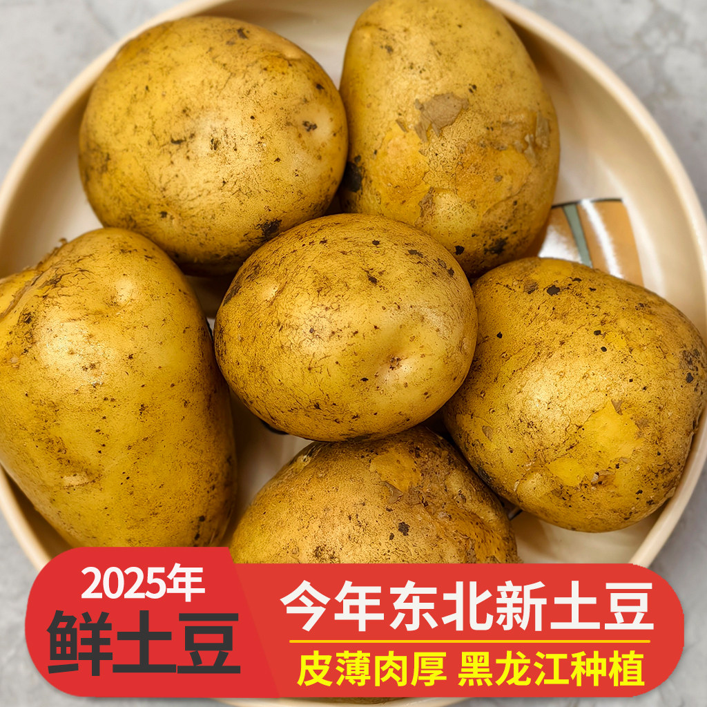 黄皮土豆黄心新鲜农家现挖马铃薯3斤5斤正宗洋芋当季东北黑龙江