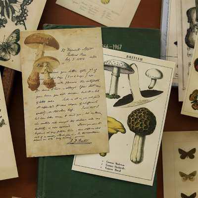 森林采集明信片 复古文艺卡片绿植蘑菇蝴蝶手帐素材留言贺卡墙贴