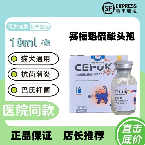 头孢赛福魁呼吸道肺感染肺炎泌尿