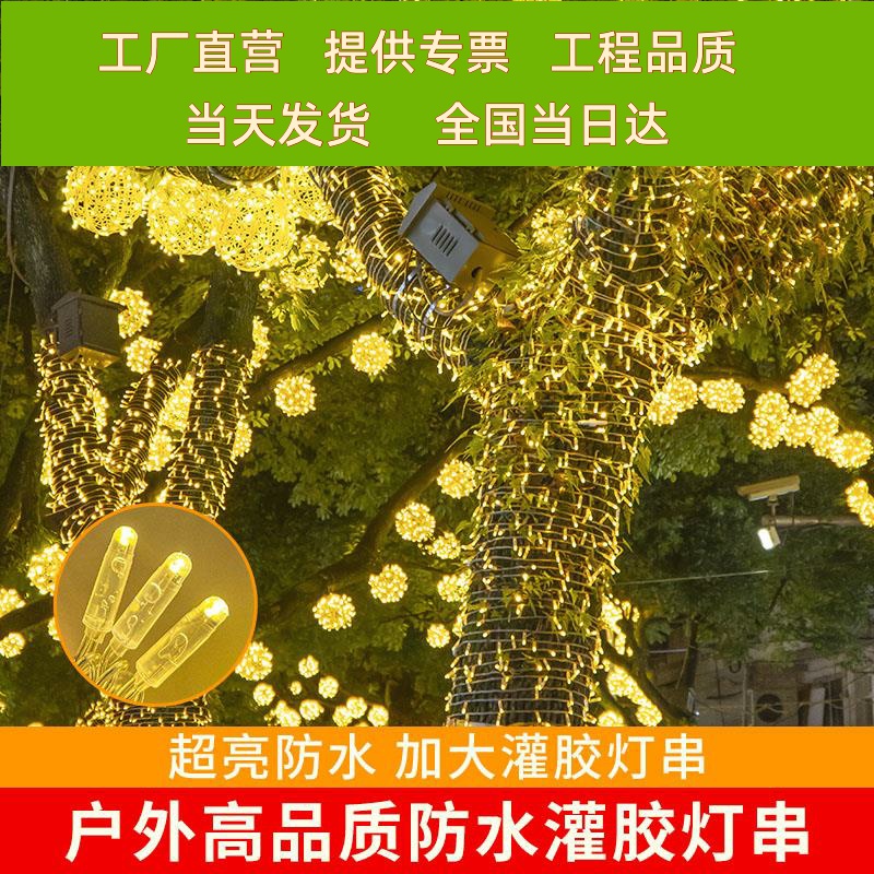 LED防水灌胶灯小彩灯闪灯串灯满天星氛围灯街道亮化挂树上的灯带