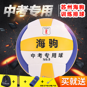刻姓名苏州海驹牌针纹5号