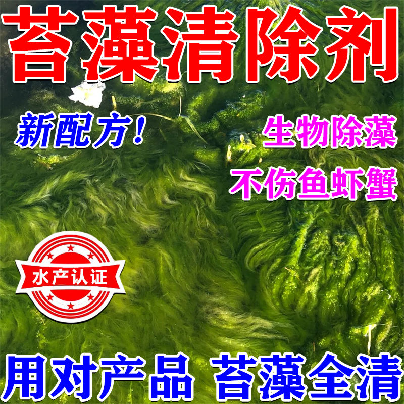 鱼塘鱼池除藻去苔剂生物蓝藻分解素酶青苔去除剂绿水池绿藻清除剂