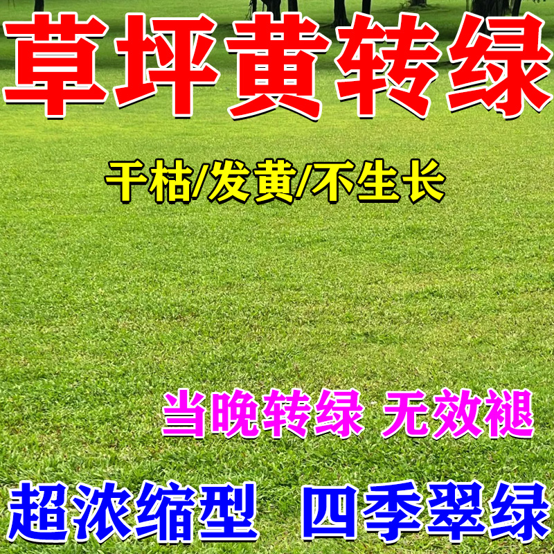 草坪专用营养液草坪增绿剂专用肥