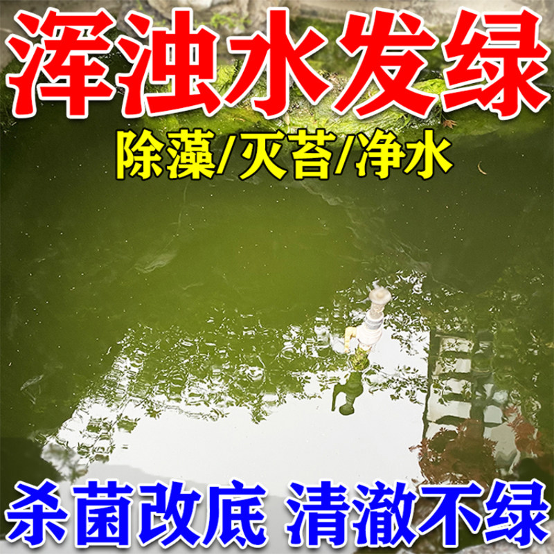 鱼塘净水灵水质净化剂池塘变清改底改善水质除绿水油膜消毒杀菌剂