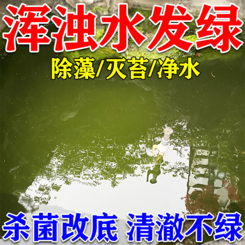 鱼塘净水灵水质净化剂池塘变清改底改善水质除绿水油膜消毒杀菌剂