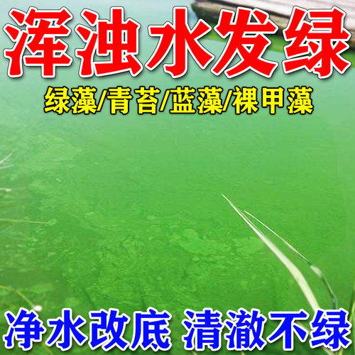 鱼池除藻去苔剂鱼塘净水灵池塘变清除绿水藻青苔清除剂消毒杀菌