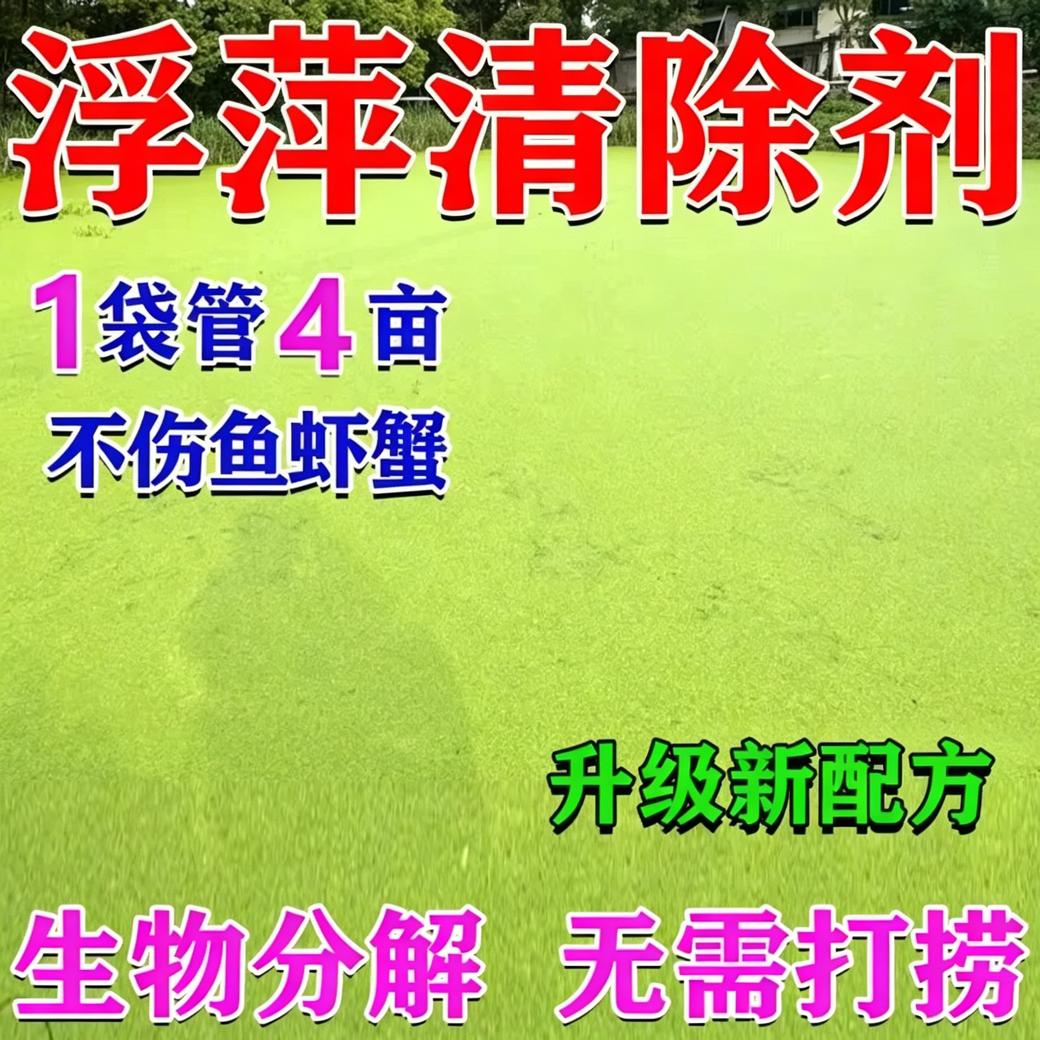 鱼池浮萍清除剂不伤鱼虾蟹免打捞一扫光除绿藻杀青苔浮萍清理神器