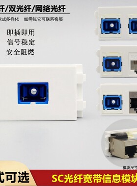 128型SC光纤带耦合器模块
