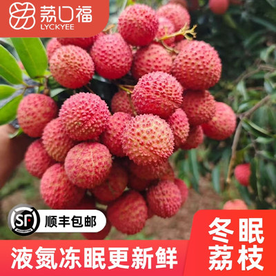 还原新鲜90%妃子笑荔枝荔口福