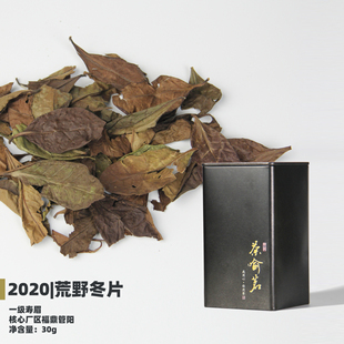【茶喻茗】荒野冬片-2020一级寿眉30g 正宗福鼎高山寒露寿眉 散茶