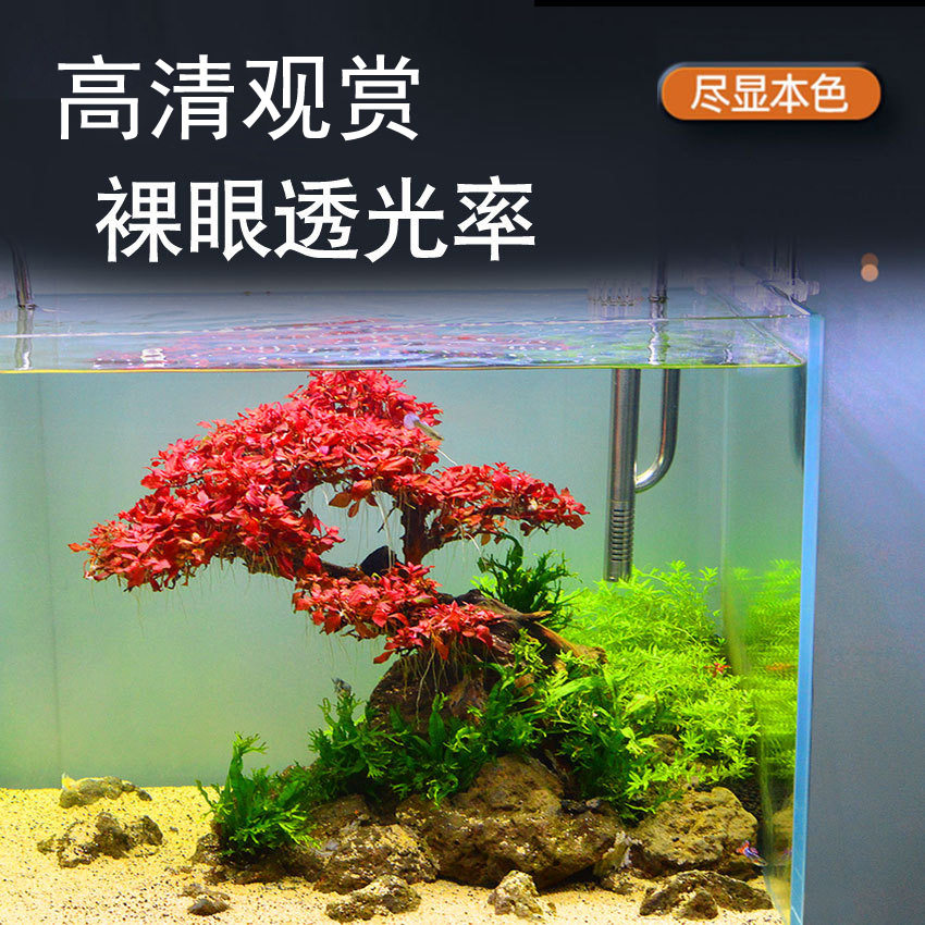 超白金鱼缸生态大中小型