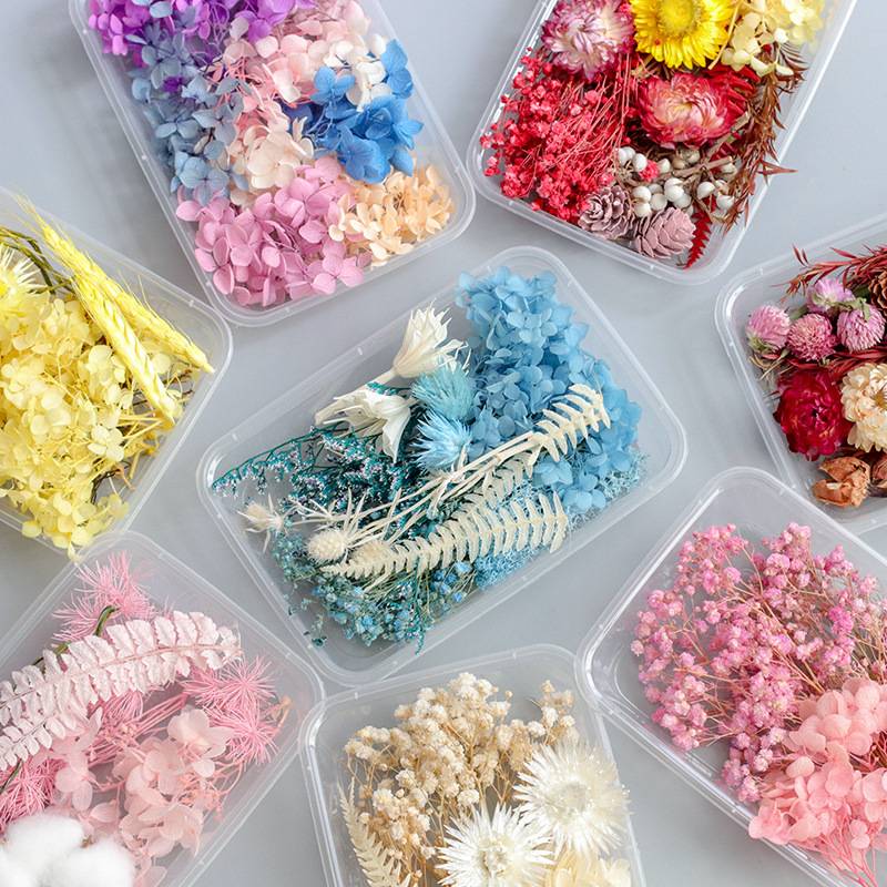 混合永生花干花diy材料包真花自然风干蜡烛团扇相框装饰干花材盒