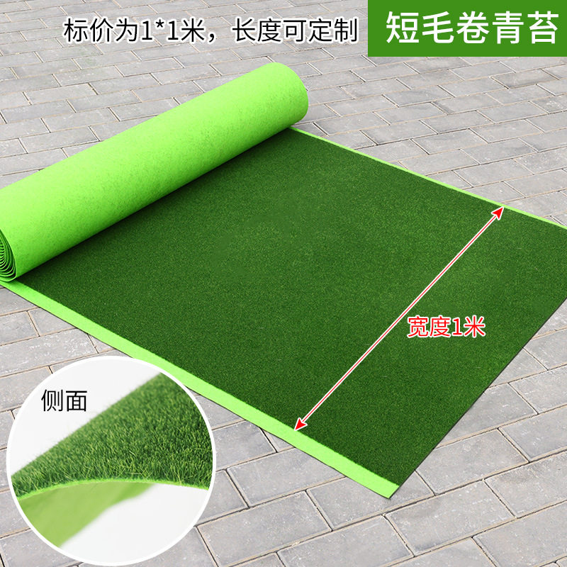 仿真草坪青苔人工草假藓