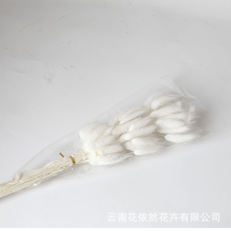 染色兔尾草干花 永生花彩色狗尾巴草家居装饰 云南干花