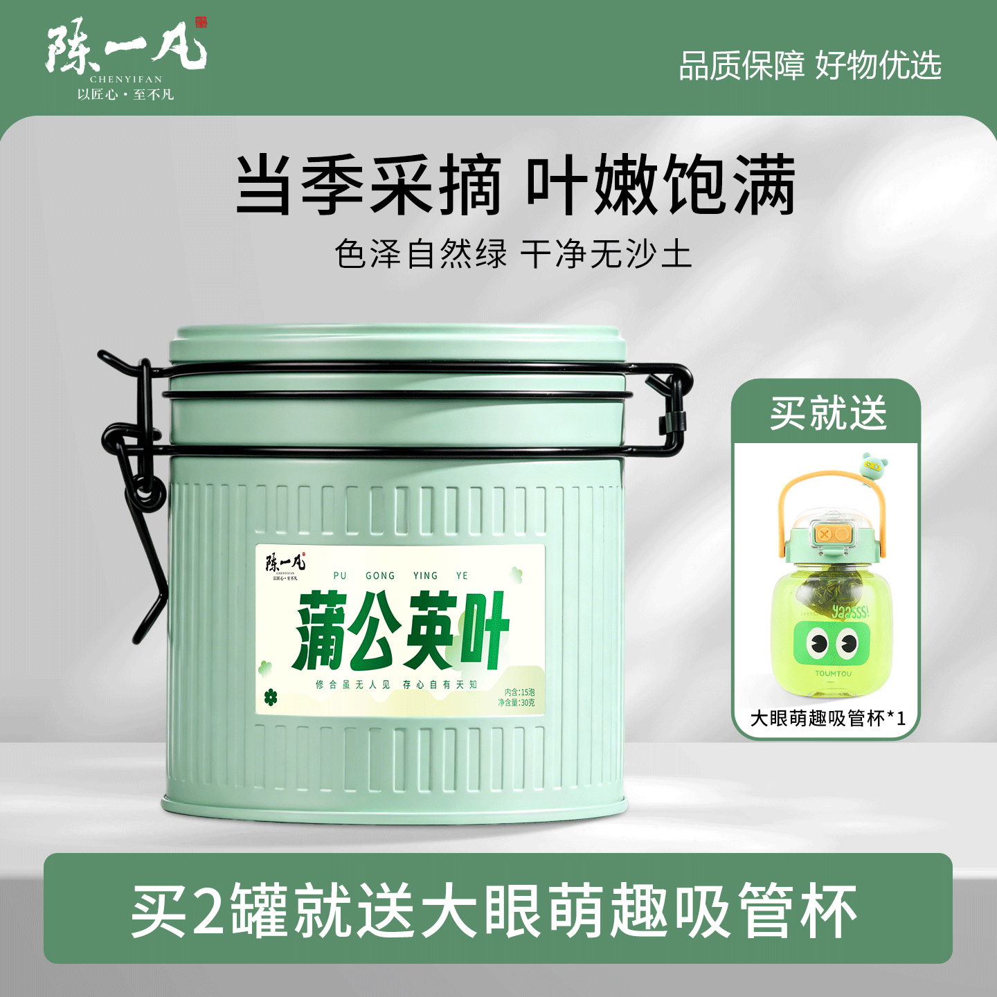 陈一凡新鲜炒制蒲公英叶袋泡茶