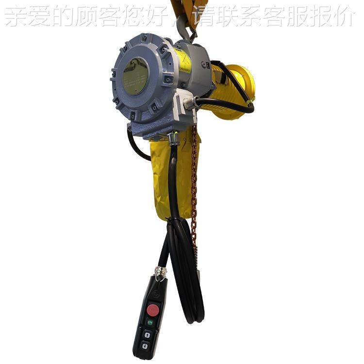 爆爆式环链电动葫芦固定式11-10吨粉尘防和气防体防爆葫BT4CT4链