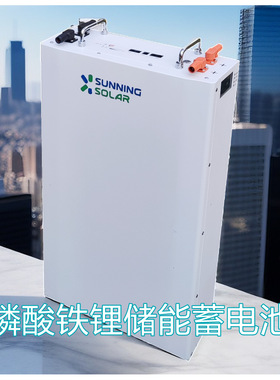 48V锂电池磷酸铁锂光伏储能电池并离网太阳能储能系统家用LiFePO4