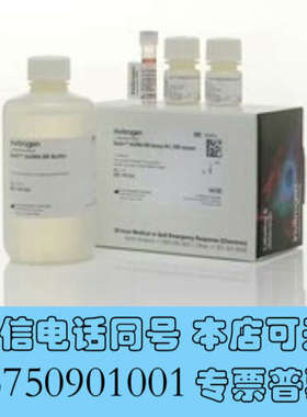 全新Qubit™ dsDNA定量试剂盒 Q32854询价