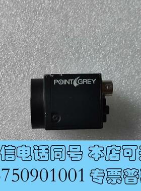 全新#POINTGREY灰点#工业相机WS-D13M2-CS实需询价