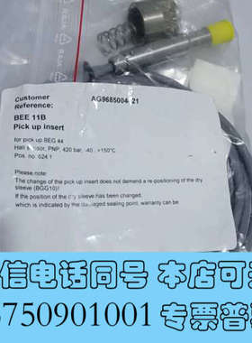 全新KRAL流量探头BEE11B询价