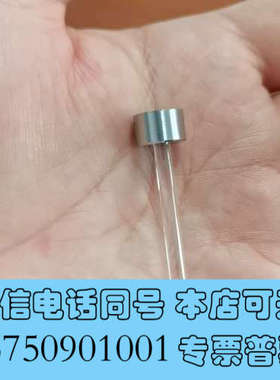 全新赛默飞：离子色谱ICS3000/5000柱塞杆  ，实物拍摄询价