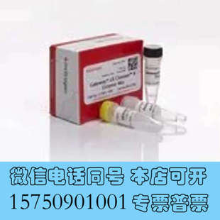 65305 全新65001 65602 65601 询价 65002