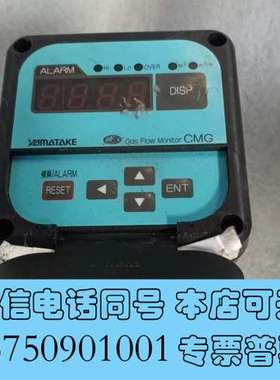 全新原装流量计CMG250A0300000D0  议价需询价