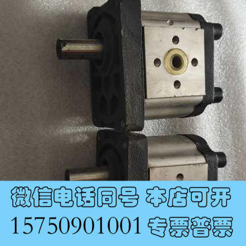 全新SDH齿轮泵CBTt-F310F3P7询价