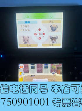 全新神游iQue  DS实物如图，功能正常下面屏幕有条印询价